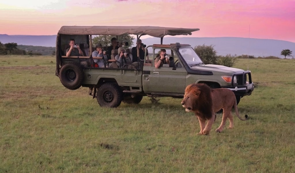Photographic Safari
